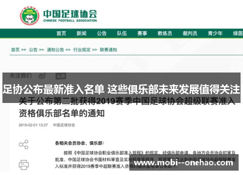 足协公布最新准入名单 这些俱乐部未来发展值得关注