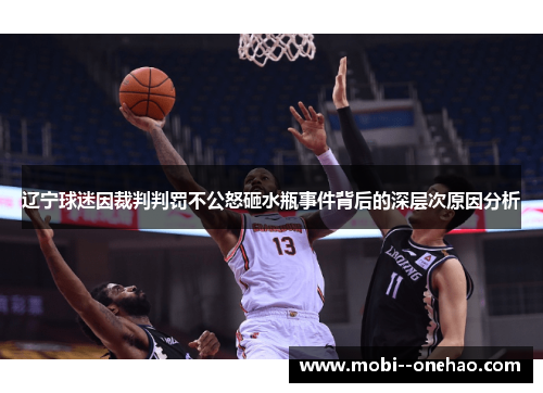 辽宁球迷因裁判判罚不公怒砸水瓶事件背后的深层次原因分析