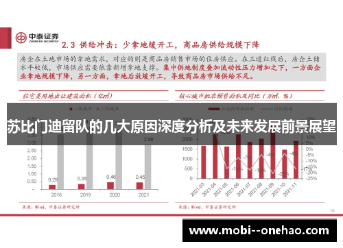 苏比门迪留队的几大原因深度分析及未来发展前景展望