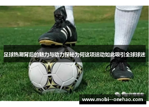 足球热潮背后的魅力与动力探秘为何这项运动如此吸引全球球迷
